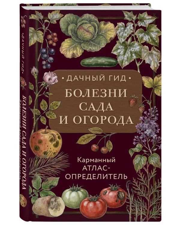Дополнительное изображение книги «Болезни сада и огорода. Карманный атлас-определитель»