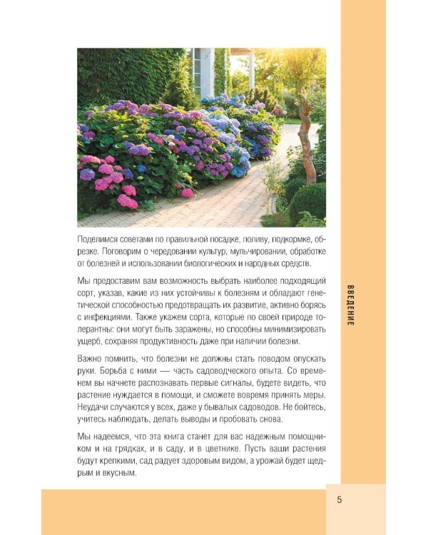 Дополнительное изображение книги «Болезни сада и огорода. Карманный атлас-определитель»