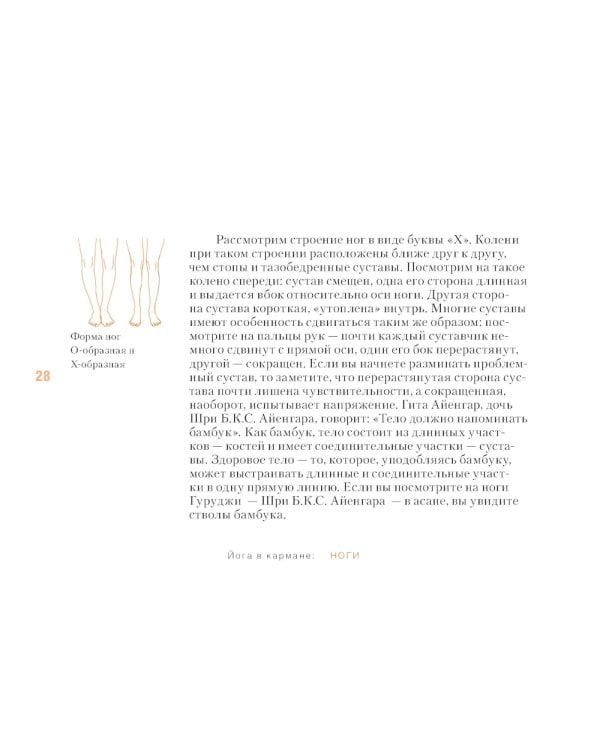 Йога в кармане: Руководство по самостоятельной практике для здоровых ног
