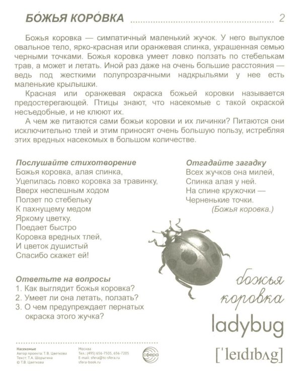 Насекомые (16 демонстрационных картинок с текстом)