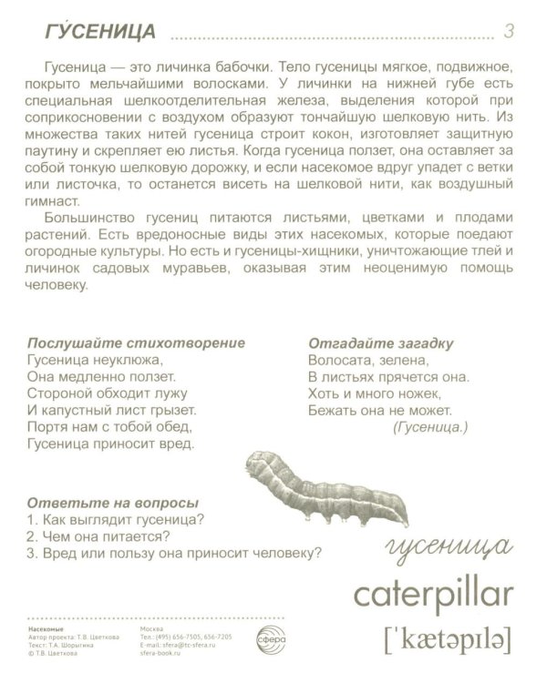 Насекомые (16 демонстрационных картинок с текстом)