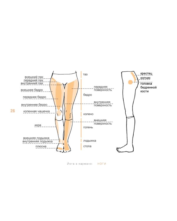 Йога в кармане: Руководство по самостоятельной практике для здоровых ног