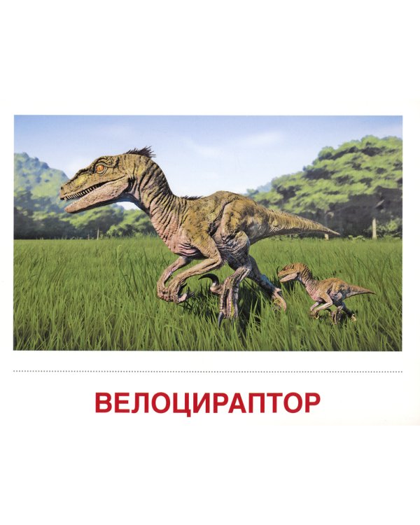 Демонстрационные картинки. Динозавры: 16 демонстрационных картинок с текстом