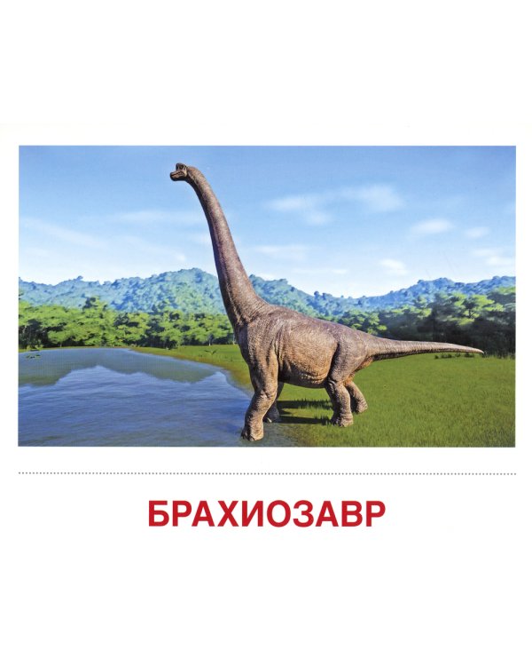 Демонстрационные картинки. Динозавры: 16 демонстрационных картинок с текстом