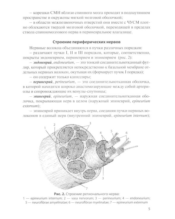 Функциональная анатомия спинномозговых нервов: Учебное пособие. 2-е изд., перераб. и доп