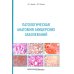 Патологическая анатомия акушерских заболеваний Патологическая анатомия акушерских заболеваний