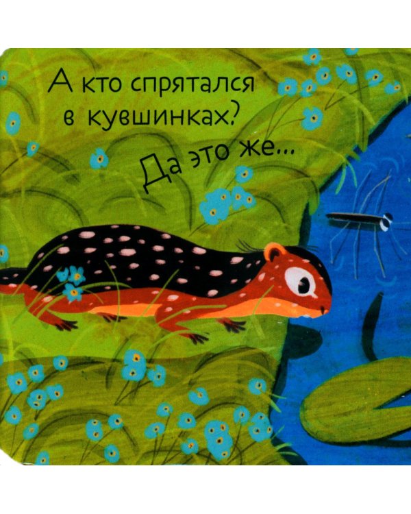 Дополнительное изображение книги «Кто где живет?»