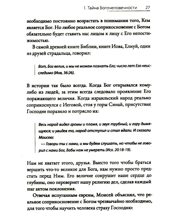 Драгоценный Христос. Постигая тайну боговоплощения