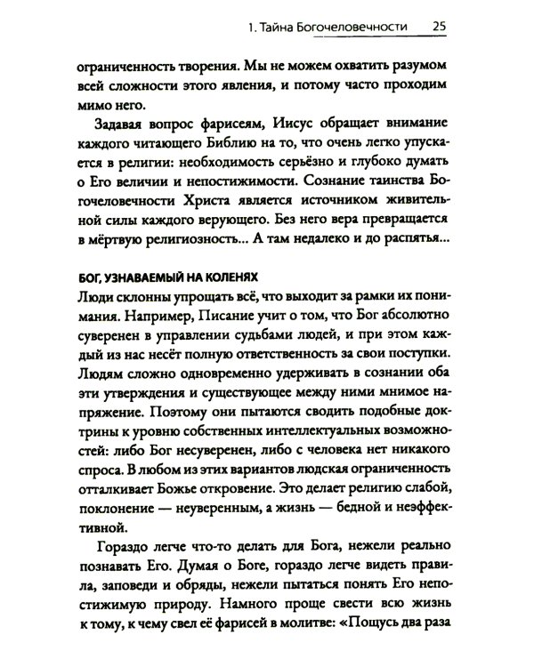 Драгоценный Христос. Постигая тайну боговоплощения