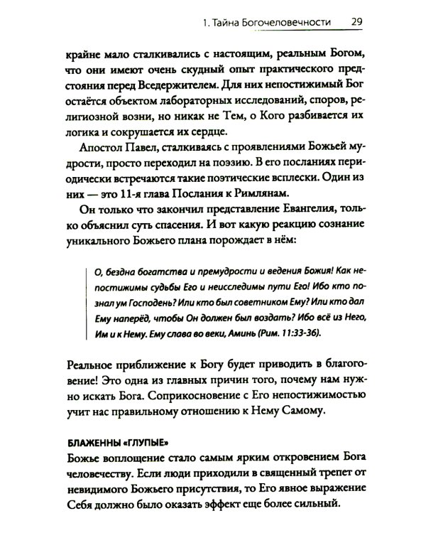 Драгоценный Христос. Постигая тайну боговоплощения