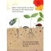 Farmyard Tales Seeds and Flowers