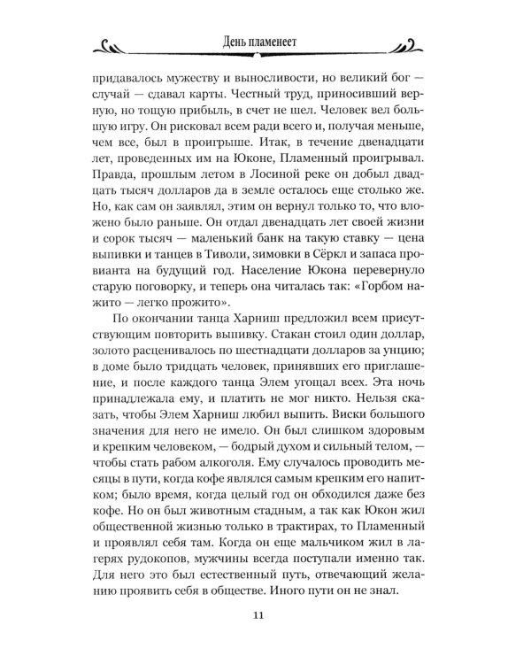 День пламенеет: роман