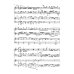 Концерт ре-минор. RV 565 / BWV 596: Обработка для  фортепиано и струнного оркестра Дж. Зидьберквит. Переложение для двух фортепиано С. Чеботарева