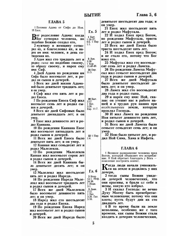 Библия 057 MZTiG ИИЖ (Коричневая Халип, краевые указатели) обложка на молнии