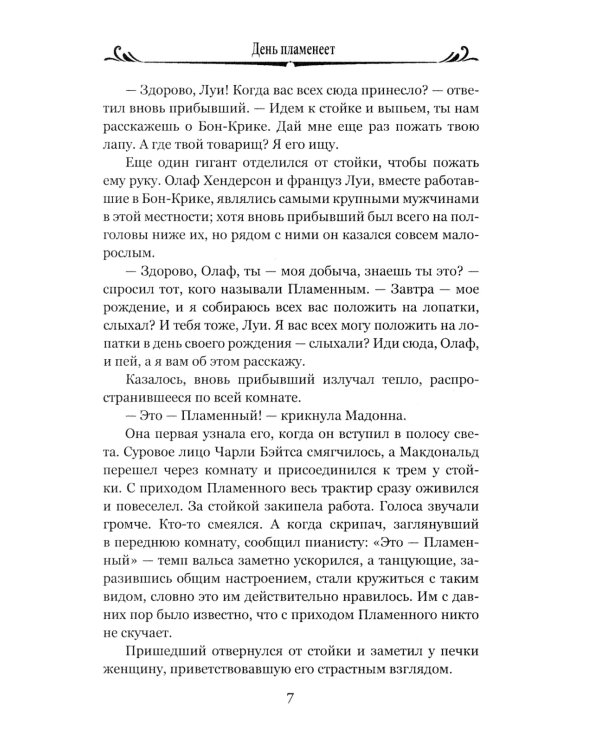 День пламенеет: роман