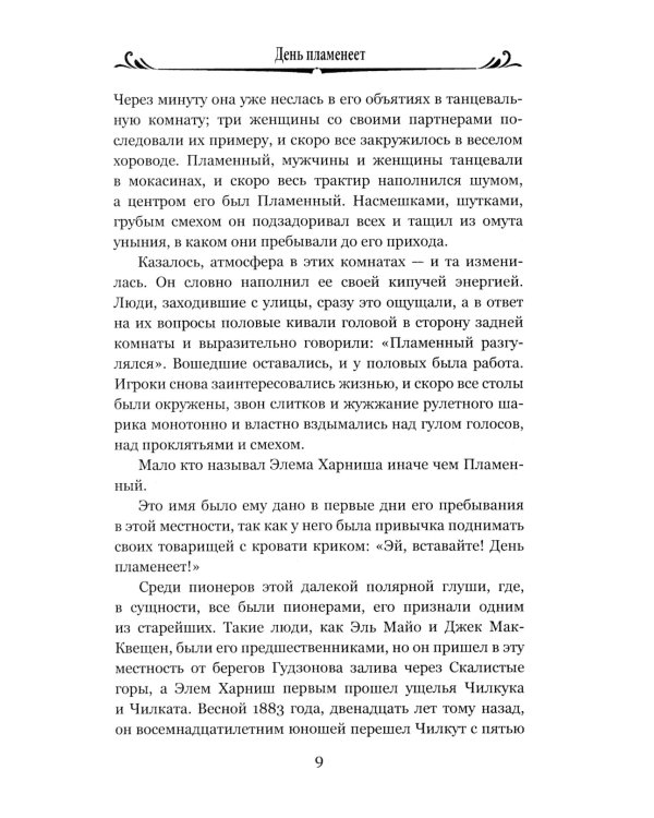 День пламенеет: роман