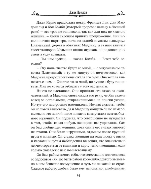 День пламенеет: роман