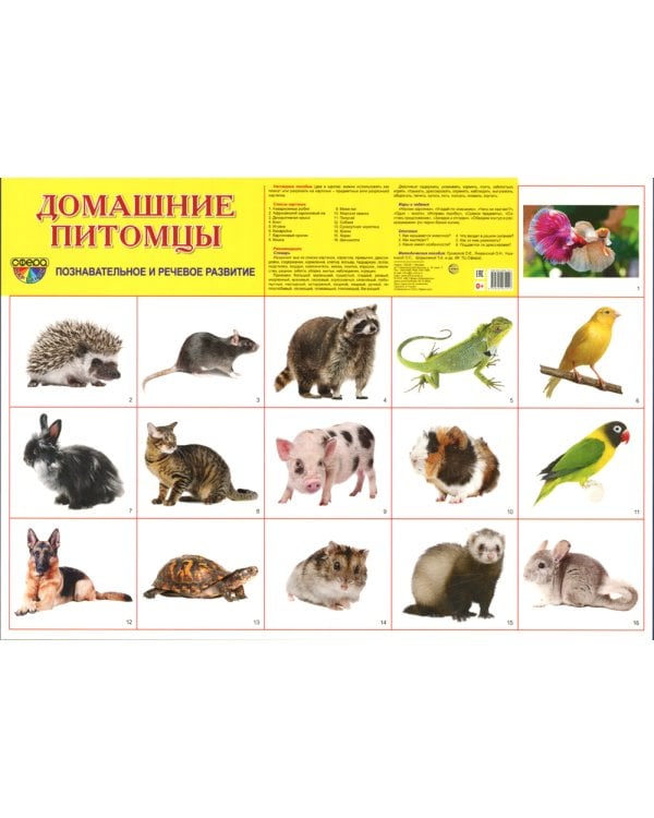 Демонстрационные картинки. Домашние питомцы: 16 демонстрационных картинок с текстом