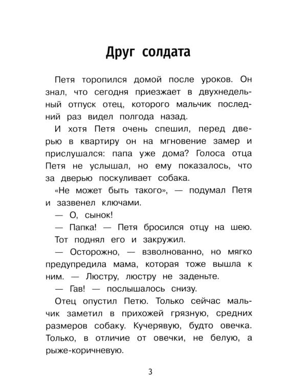 Дополнительное изображение книги «Важная профессия: рассказы»
