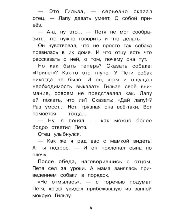 Дополнительное изображение книги «Важная профессия: рассказы»