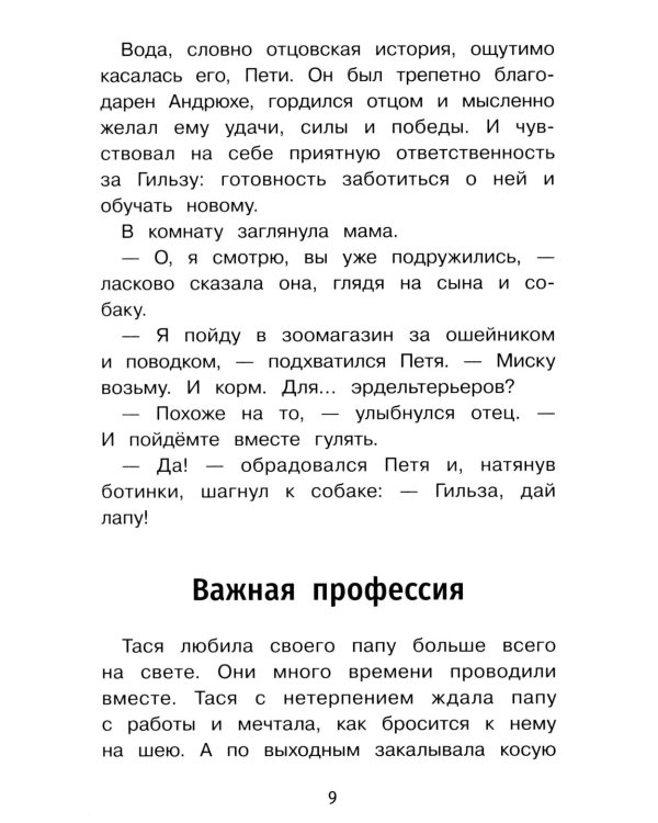Дополнительное изображение книги «Важная профессия: рассказы»