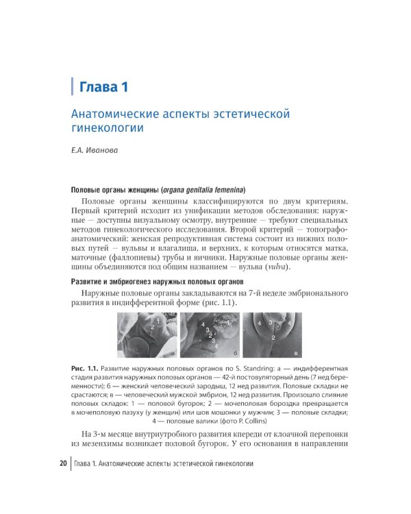 Эстетическая гинекология