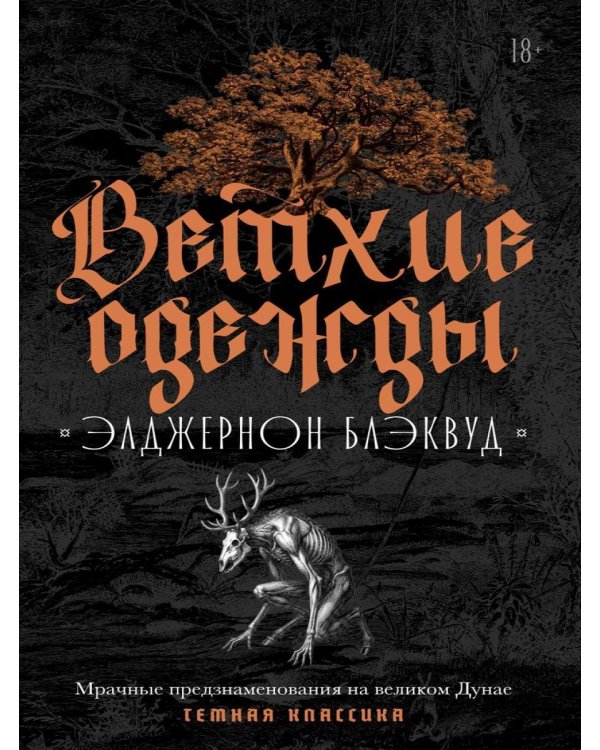 Дополнительное изображение книги «Ветхие одежды»