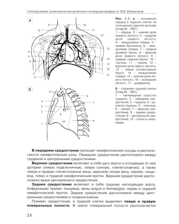 Спектральные допплеровские режимы в эхокардиографии от Рыбаковой М.К.