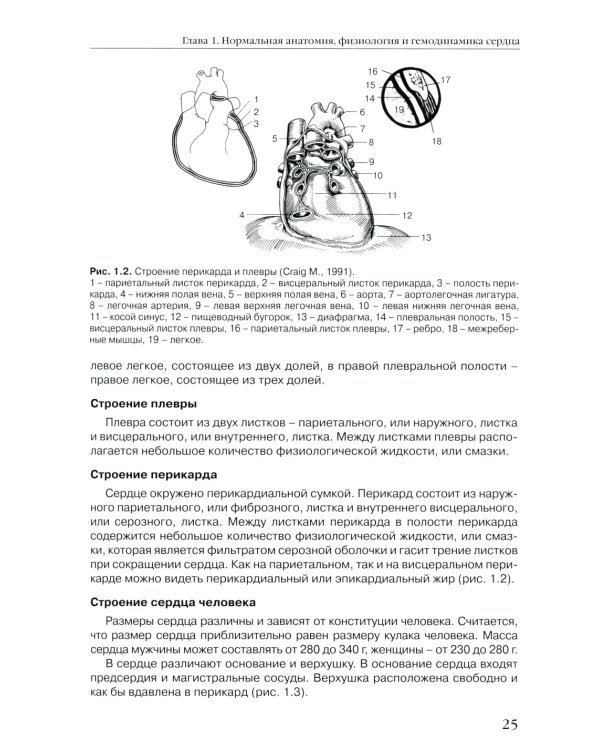 Спектральные допплеровские режимы в эхокардиографии от Рыбаковой М.К.