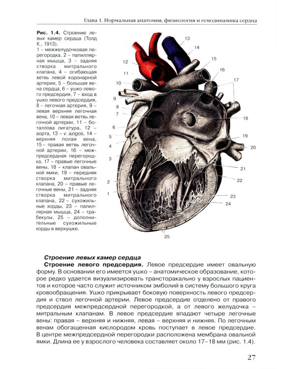 Спектральные допплеровские режимы в эхокардиографии от Рыбаковой М.К.