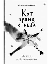 Кот прямо с неба