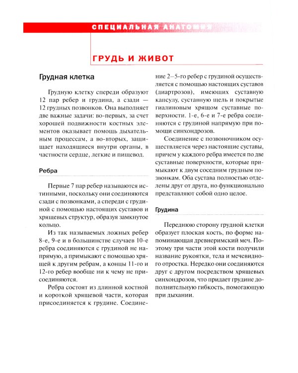 Спортивная анатомия