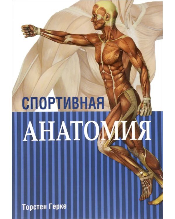 Спортивная анатомия