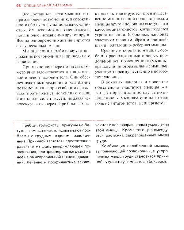 Спортивная анатомия
