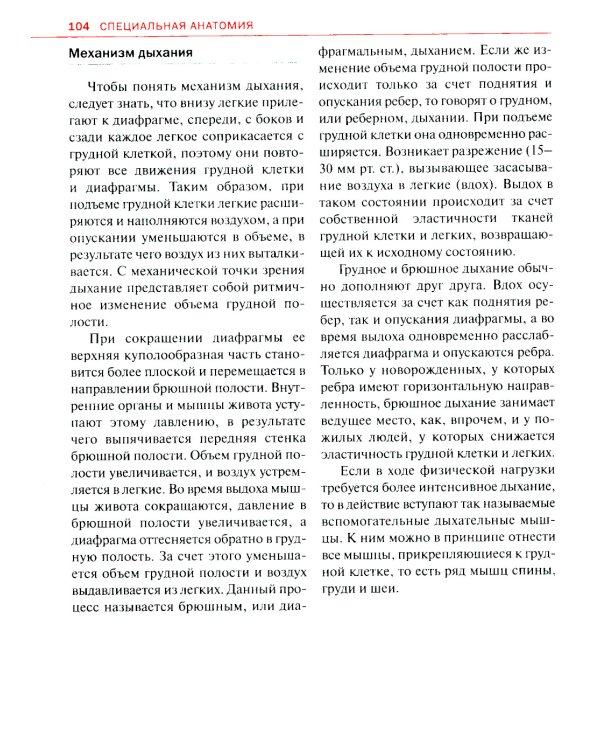 Спортивная анатомия