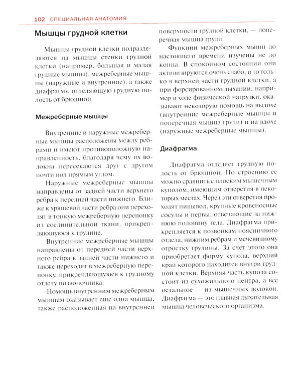 Спортивная анатомия