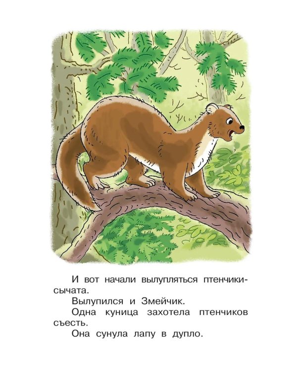 Истории про Чебурашку