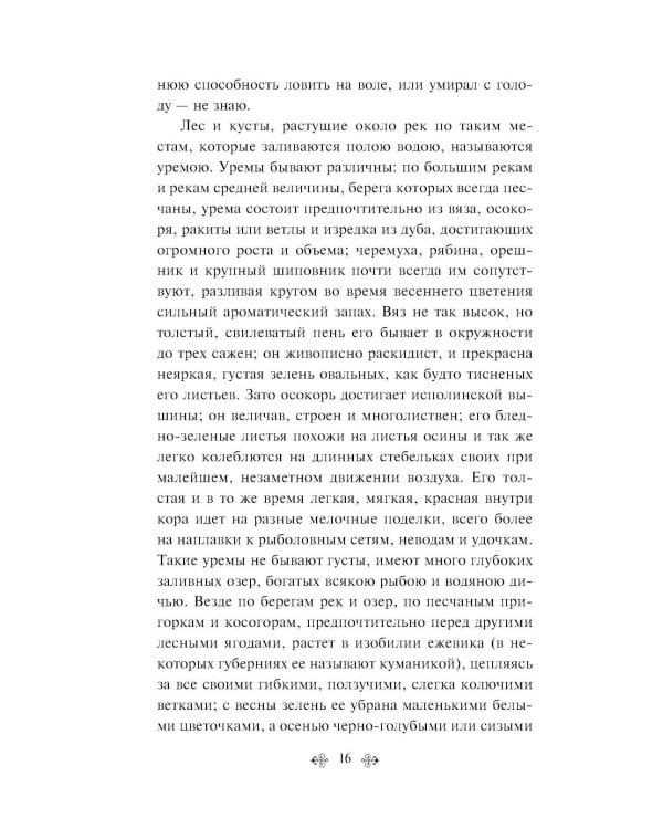 Русский лес. Рассказы русских писателей (лимитированный дизайн)