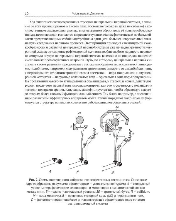 О построении движений