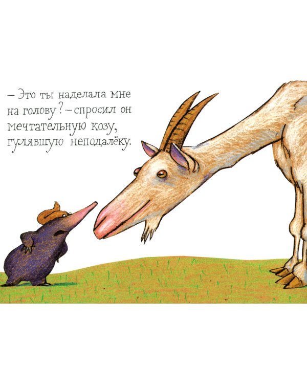 Маленький крот, который хотел знать, кто наделал ему на голову