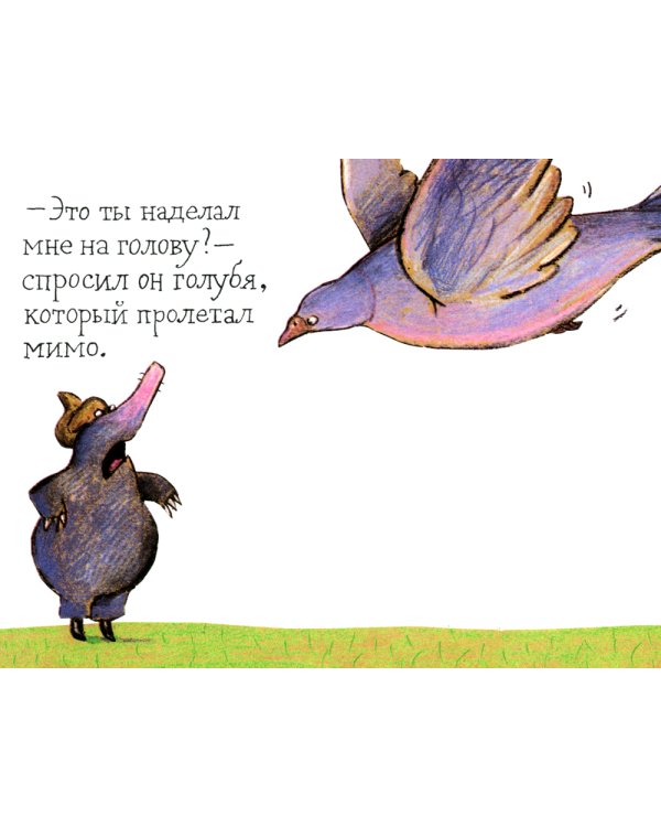 Маленький крот, который хотел знать, кто наделал ему на голову
