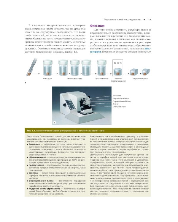 Гистология по Жункейре. Атлас: Учебное пособие