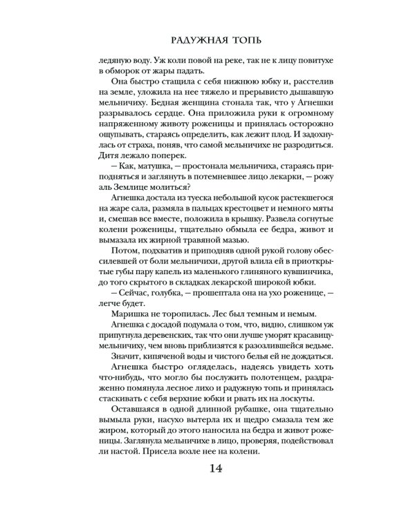 Дополнительное изображение книги «Радужная Топь»