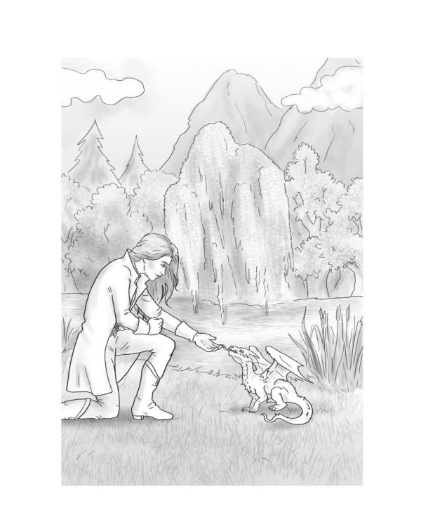 Пара для Саламандра. Академия драконьего пламени