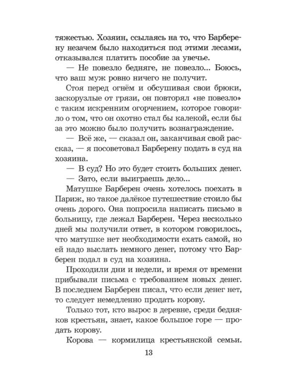 Дополнительное изображение книги «Без семьи»