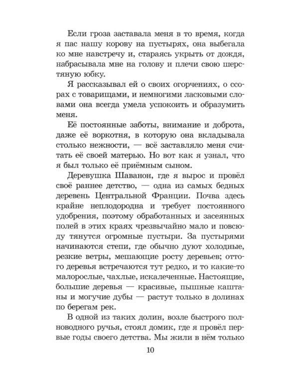 Дополнительное изображение книги «Без семьи»