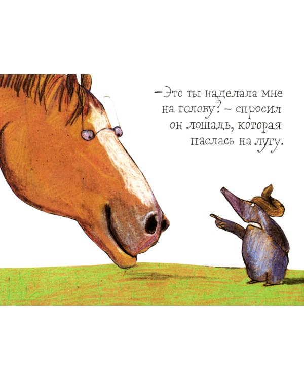 Маленький крот, который хотел знать, кто наделал ему на голову