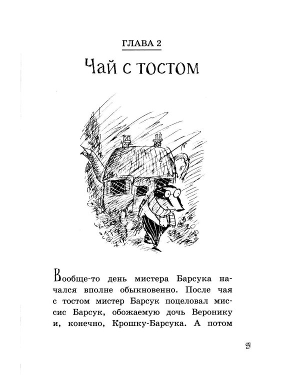 Мистер Барсук и волшебное зеркало: повесть