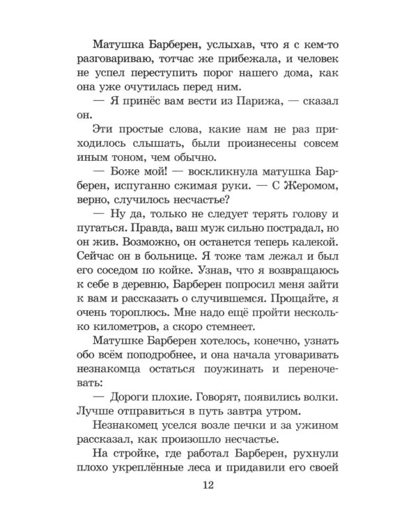 Дополнительное изображение книги «Без семьи»