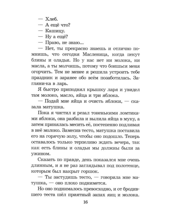 Дополнительное изображение книги «Без семьи»